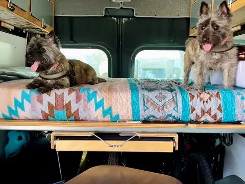 2020 Ram Promaster — photo 4